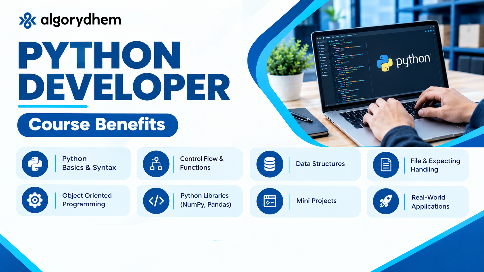 Python Website Developer